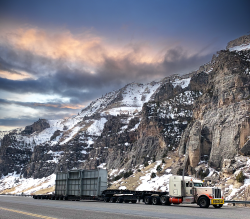 Upper Shell - Montana